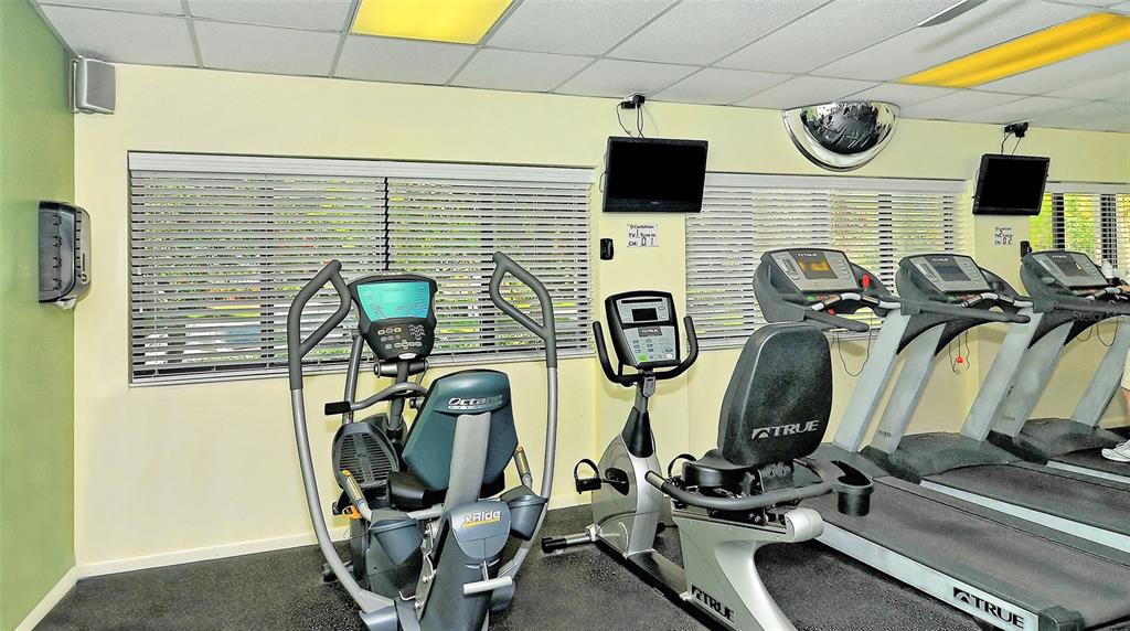 712 White Pine Tree Road, Unit 77 Venice, FL 34285 - Photo 41 of 98