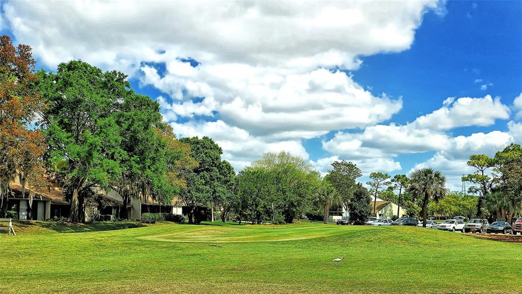 712 White Pine Tree Road, Unit 77 Venice, FL 34285 - Photo 58 of 98