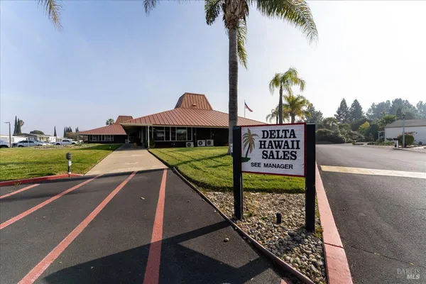 a view of a park with potted plants