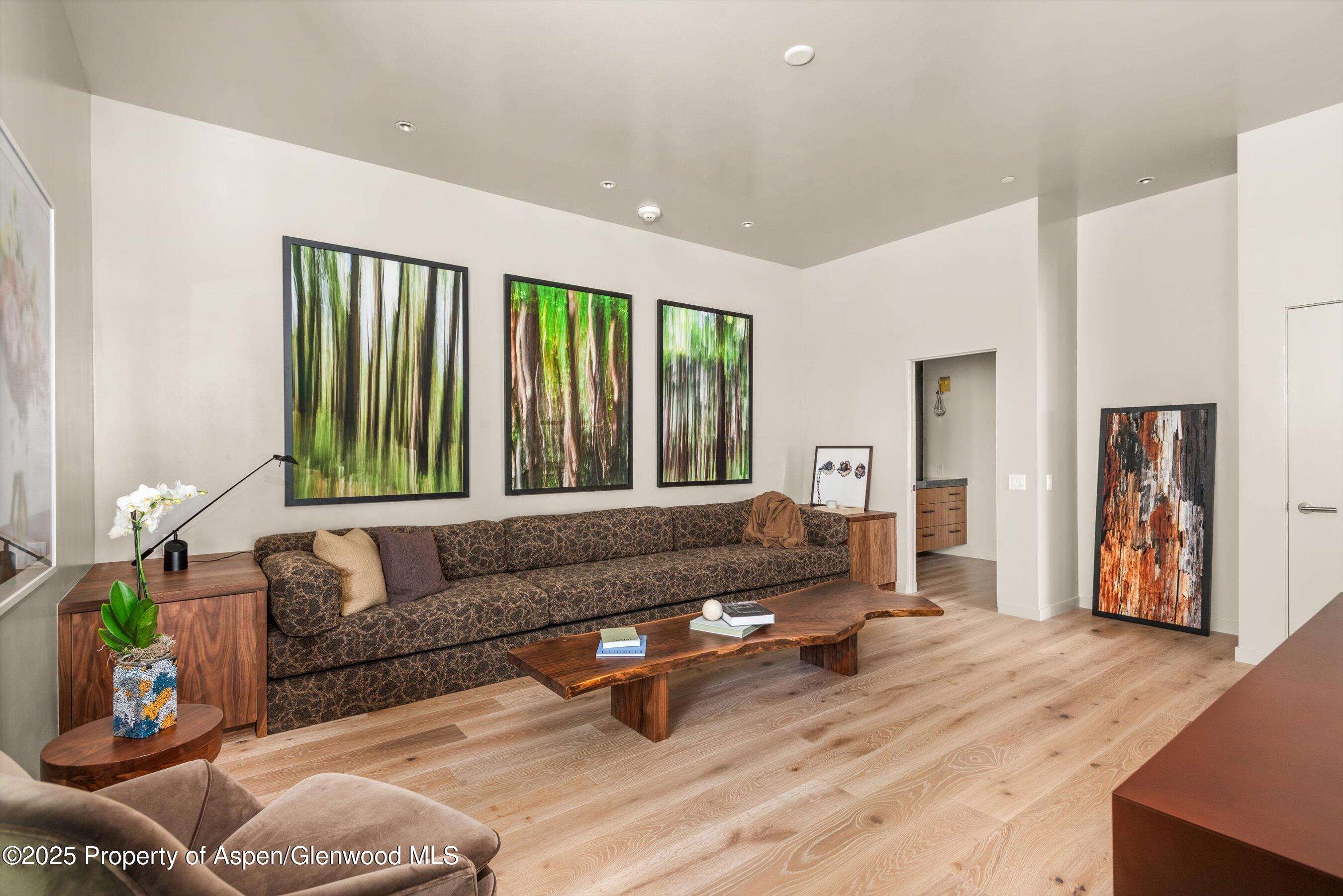 103 Willow Road, Unit 207 Basalt, CO 81621 - Photo 8 of 14 a living room with furniture and a window