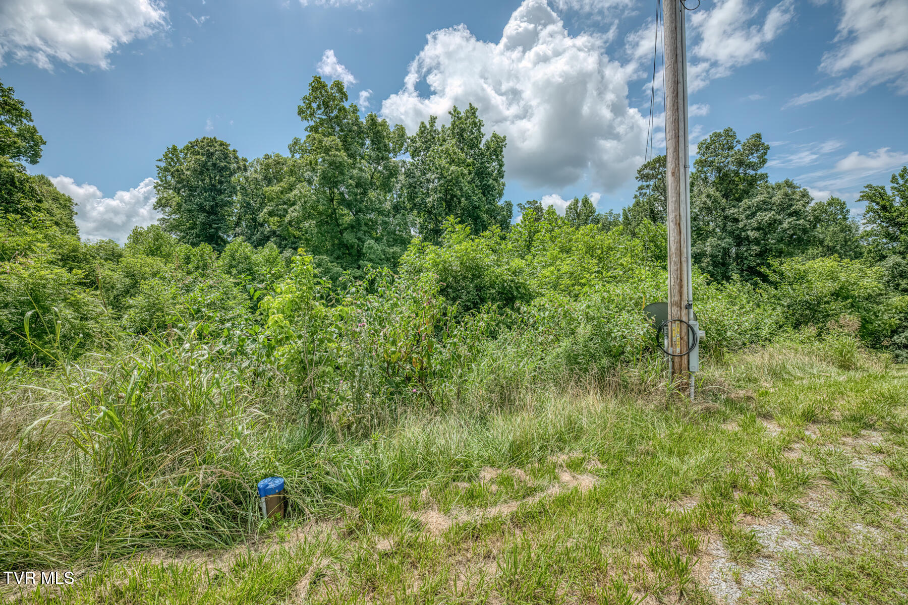 2083 Bundren Mountain Road Tazewell, TN 37879 - Photo 5 of 42 2083 Bundren Mountain Rd-15