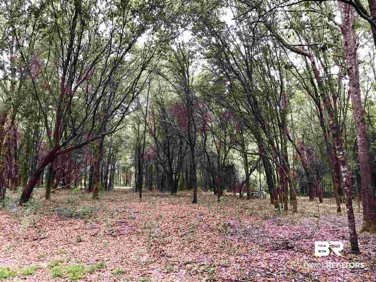 16440 Newman Road Summerdale, AL 36580 - Photo 15 of 29