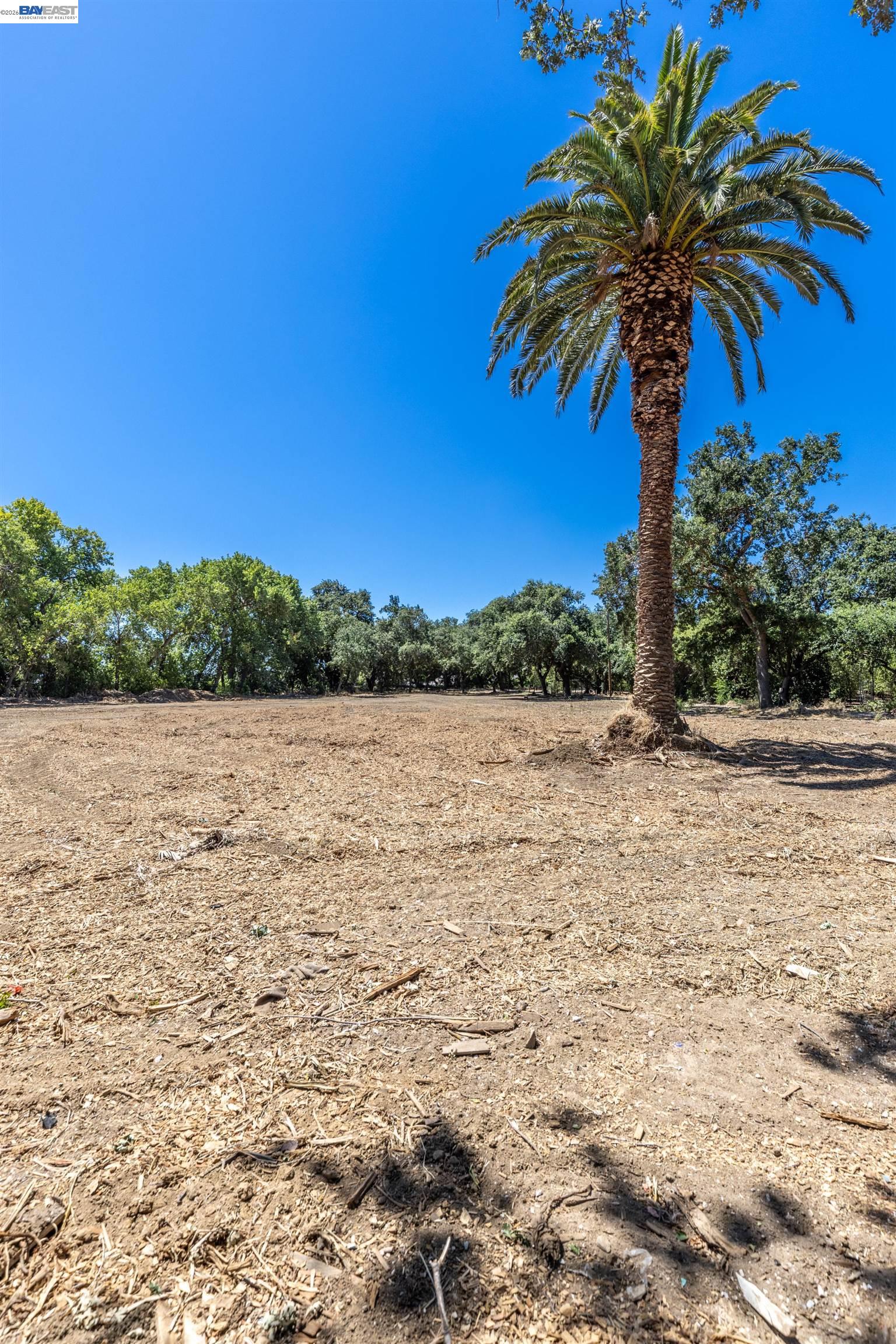 3515 Kellogg Creek Road Byron, CA 94505 - Photo 9 of 16