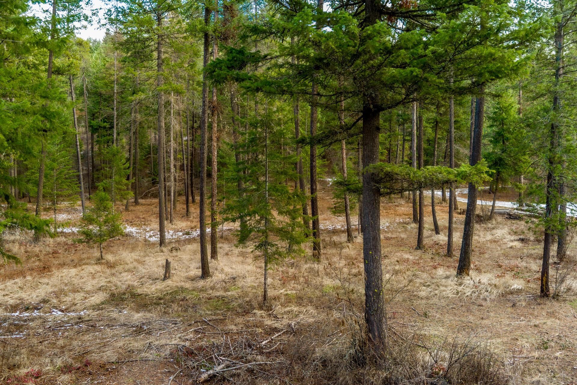 2559 United Copper Mine Road Chewelah, WA 99109 - Photo 30 of 34