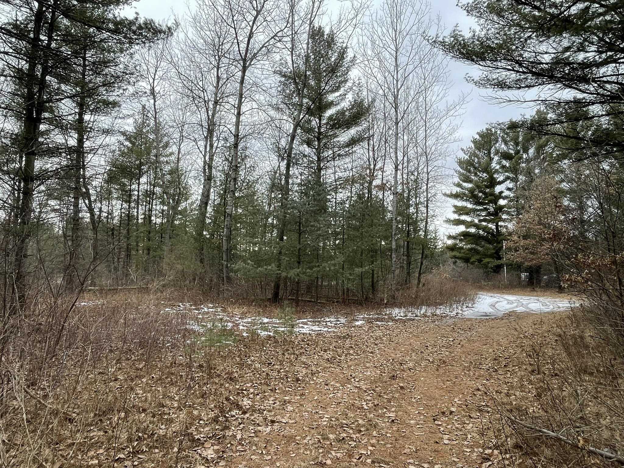 40-acres Seneca Road Wisconsin Rapids, WI 54495 - Photo 1 of 1