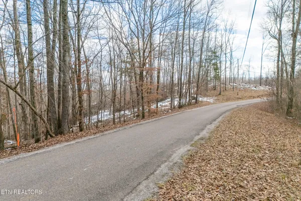 $84,998 | 5.33-ac Hutchins Bend Road, Sparta, TN 38583