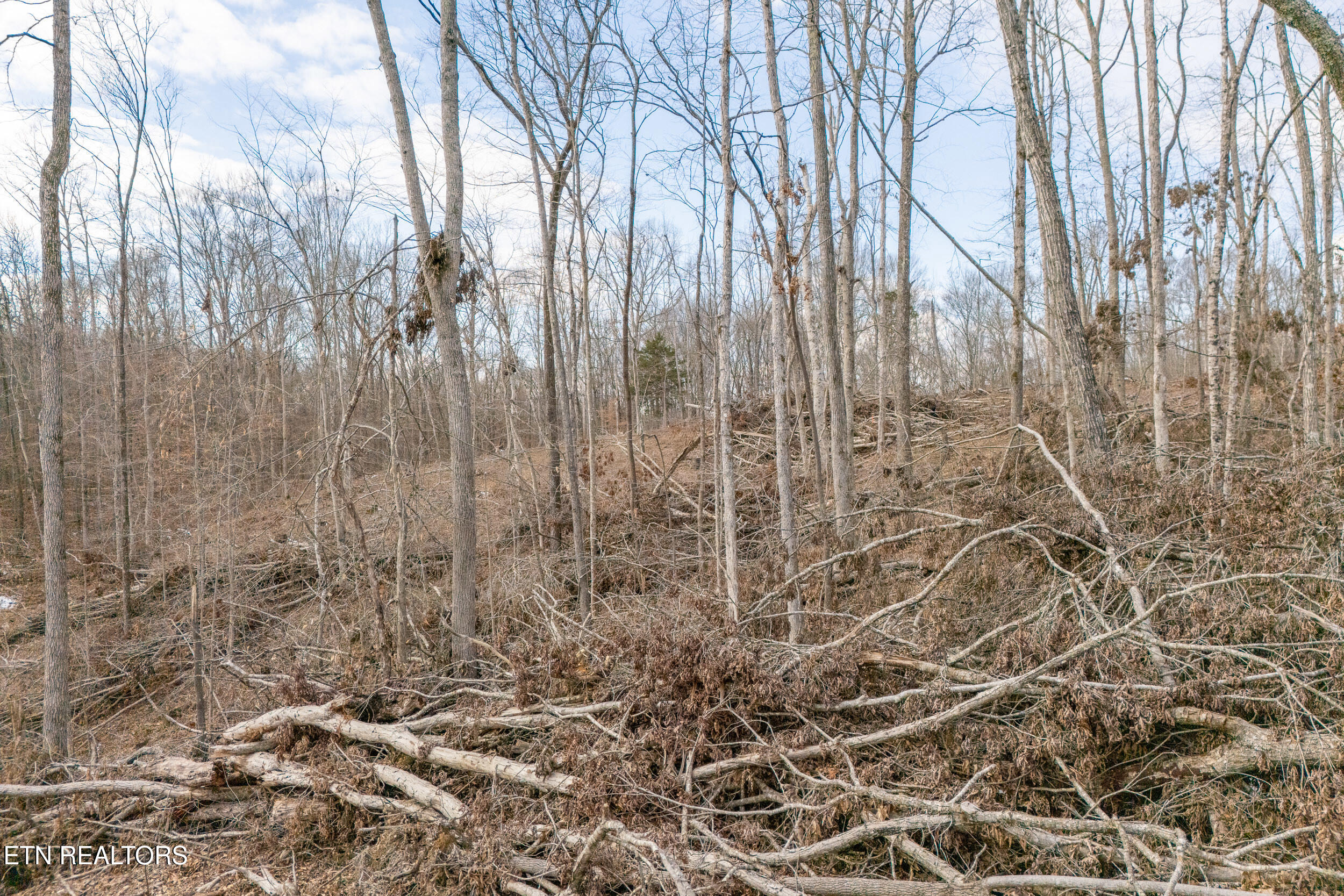 5.33-ac Hutchins Bend Road Sparta, TN 38583 - Photo 7 of 12 mls-13