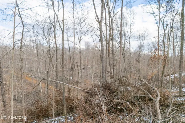 $84,998 | 5.33-ac Hutchins Bend Road, Sparta, TN 38583