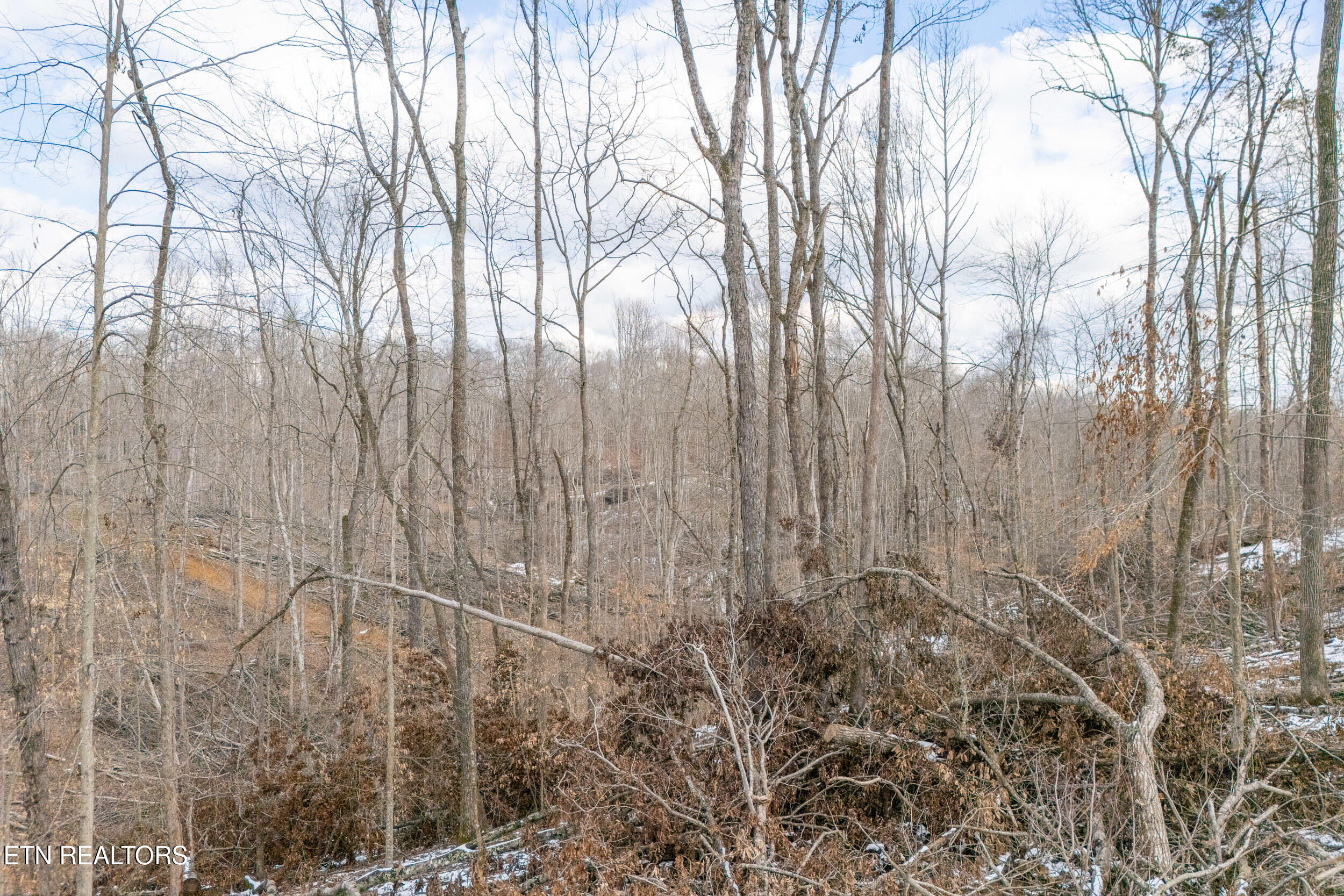 5.33-ac Hutchins Bend Road Sparta, TN 38583 - Photo 8 of 12 mls-15