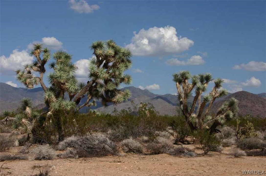 Lot B10 Howard Road Yucca, AZ 86438 - Photo 1 of 33 Gallery Image 1