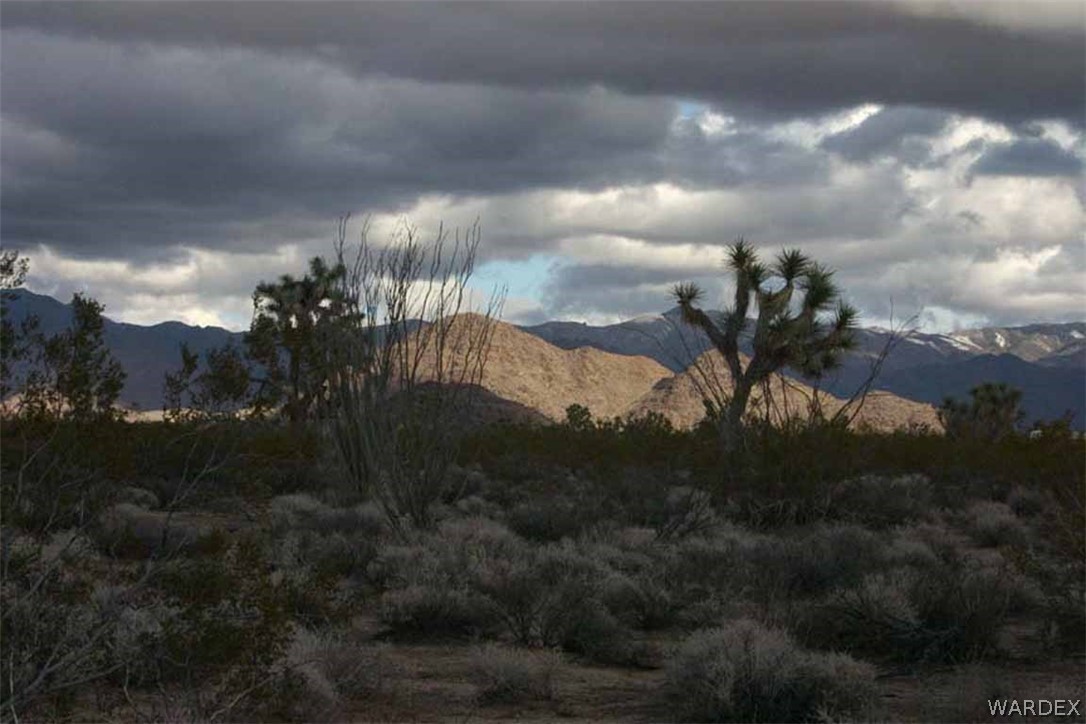 Lot B10 Howard Road Yucca, AZ 86438 - Photo 12 of 33 Gallery Image 12