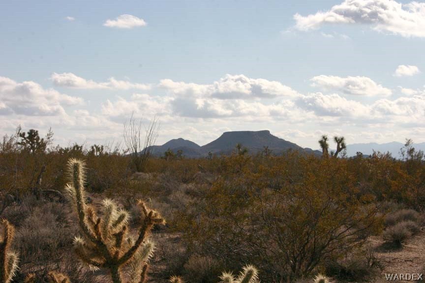 Lot B10 Howard Road Yucca, AZ 86438 - Photo 15 of 33 Gallery Image 15
