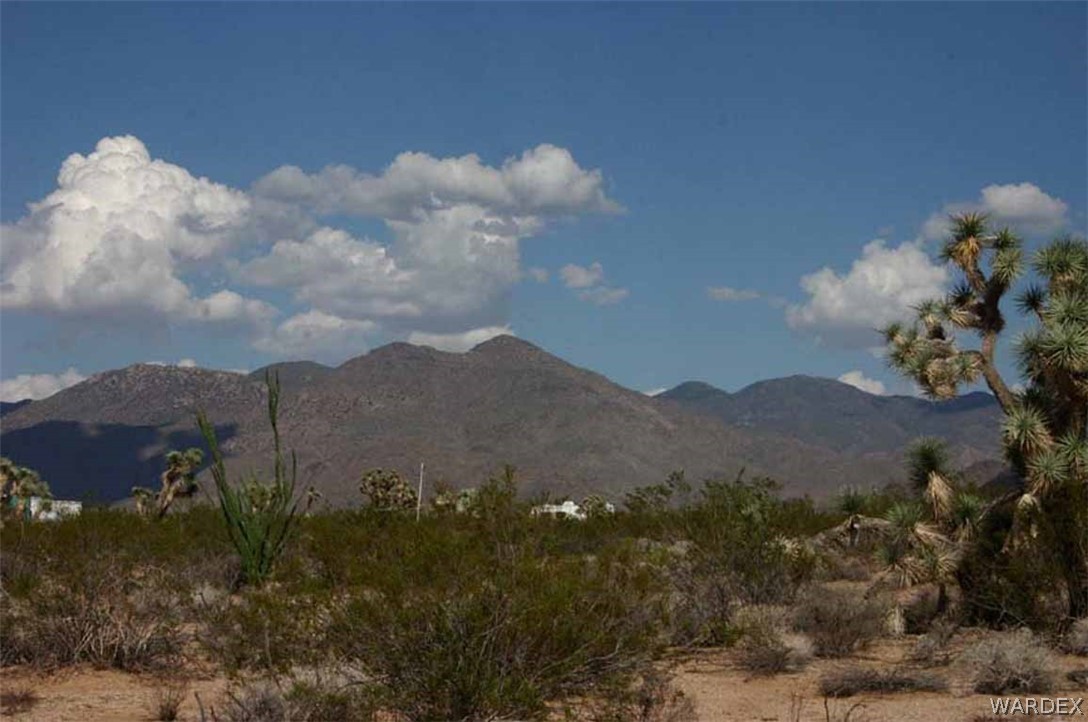 Lot B10 Howard Road Yucca, AZ 86438 - Photo 2 of 33 Gallery Image 2