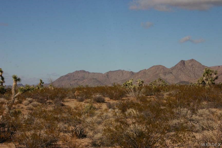 Lot B10 Howard Road Yucca, AZ 86438 - Photo 23 of 33 Gallery Image 23