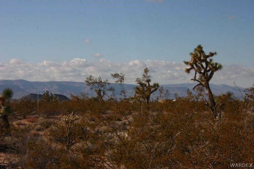 Lot B10 Howard Road Yucca, AZ 86438 - Photo 24 of 33 Gallery Image 24