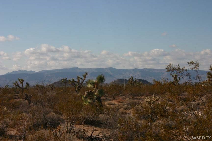 Lot B10 Howard Road Yucca, AZ 86438 - Photo 25 of 33 Gallery Image 25
