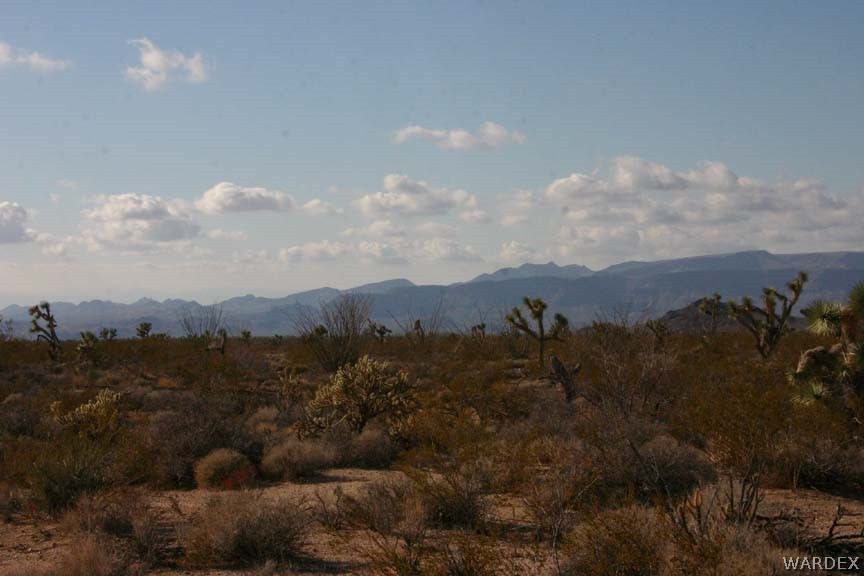 Lot B10 Howard Road Yucca, AZ 86438 - Photo 26 of 33 Gallery Image 26
