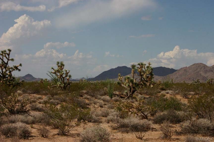 Lot B10 Howard Road Yucca, AZ 86438 - Photo 27 of 33 Gallery Image 27