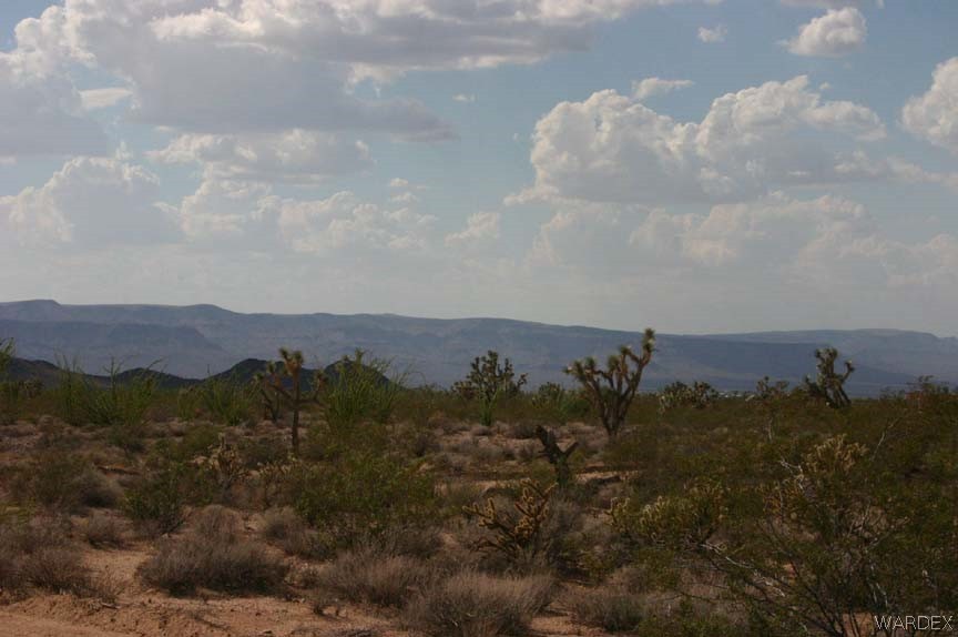 Lot B10 Howard Road Yucca, AZ 86438 - Photo 29 of 33 Gallery Image 29