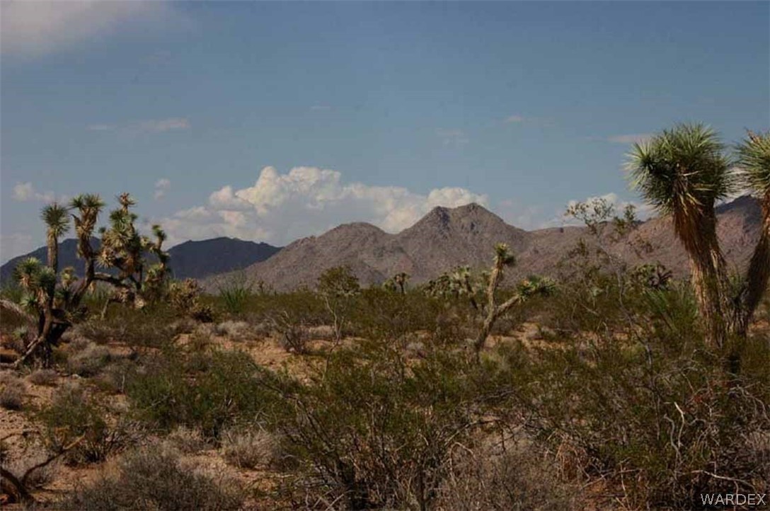 Lot B10 Howard Road Yucca, AZ 86438 - Photo 4 of 33 Gallery Image 4