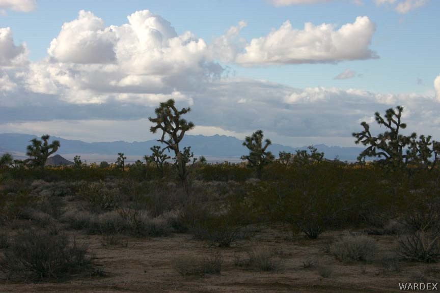 Lot B10 Howard Road Yucca, AZ 86438 - Photo 8 of 33 Gallery Image 8