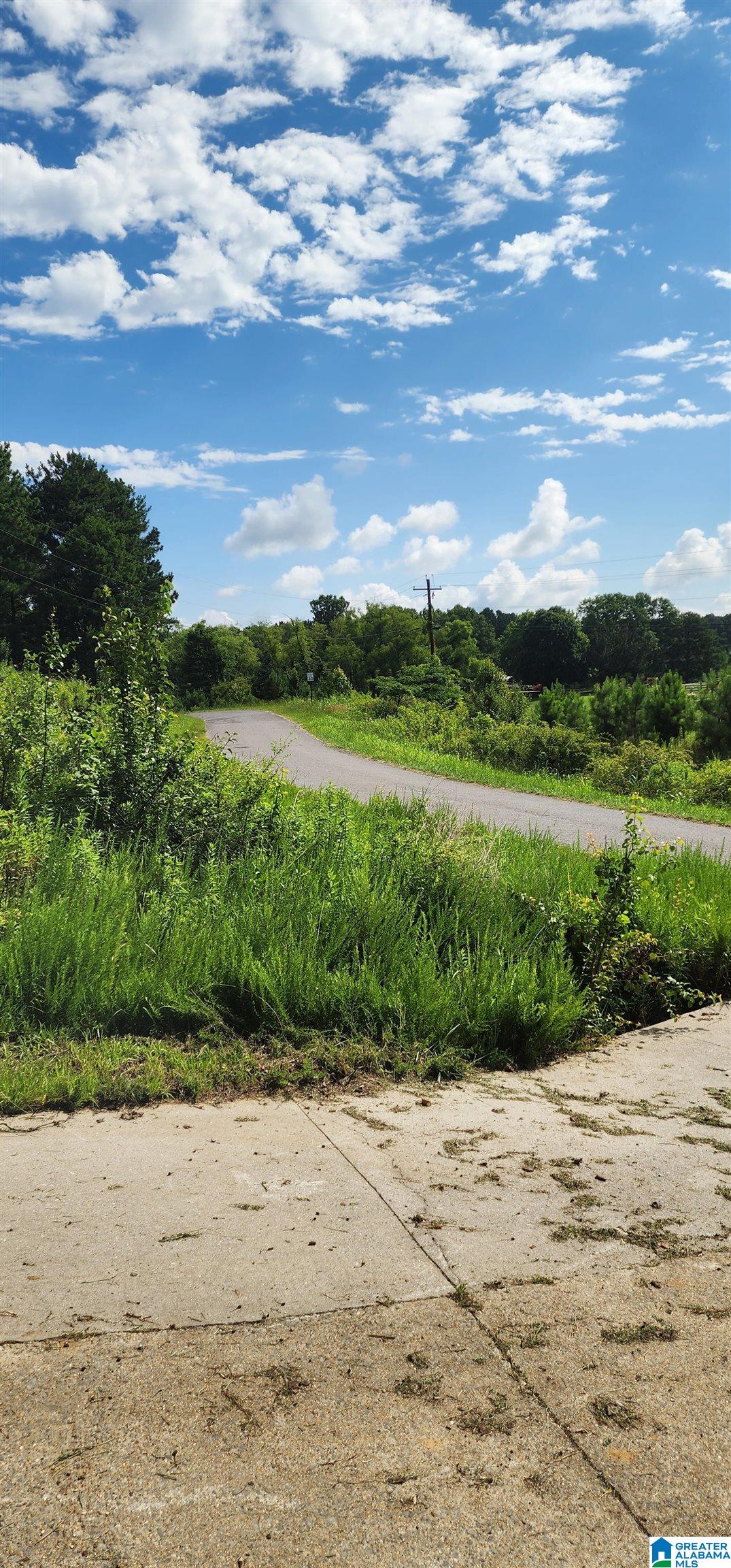 0 Hicks Road Oneonta, AL 35121 - Photo 1 of 1