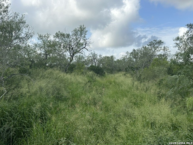 Tbd Leal Road Pleasanton, TX 78064 - Photo 13 of 14
