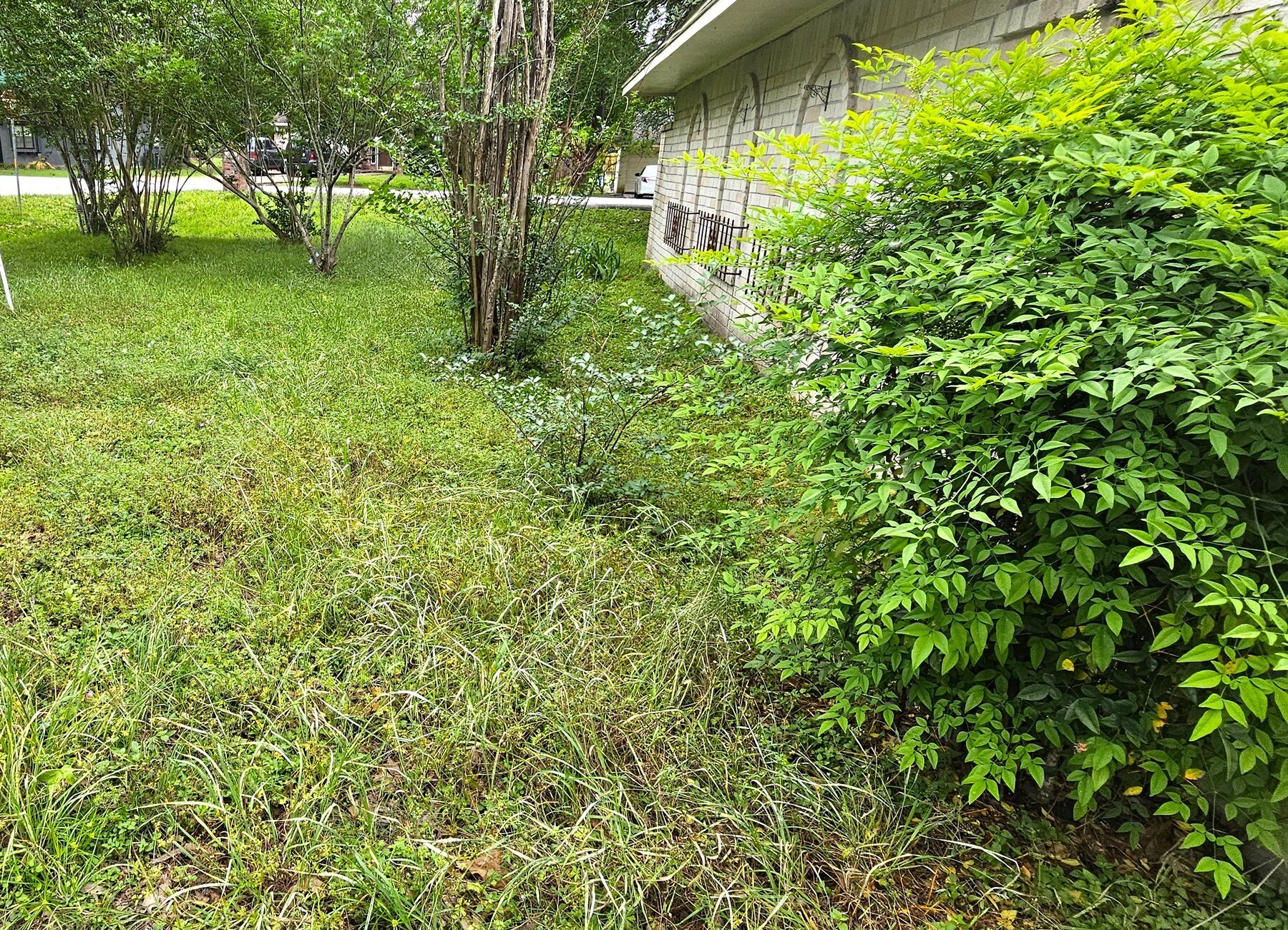 3303 Roaming Woods Lane Spring, TX 77380 - Photo 19 of 21 a view of yard