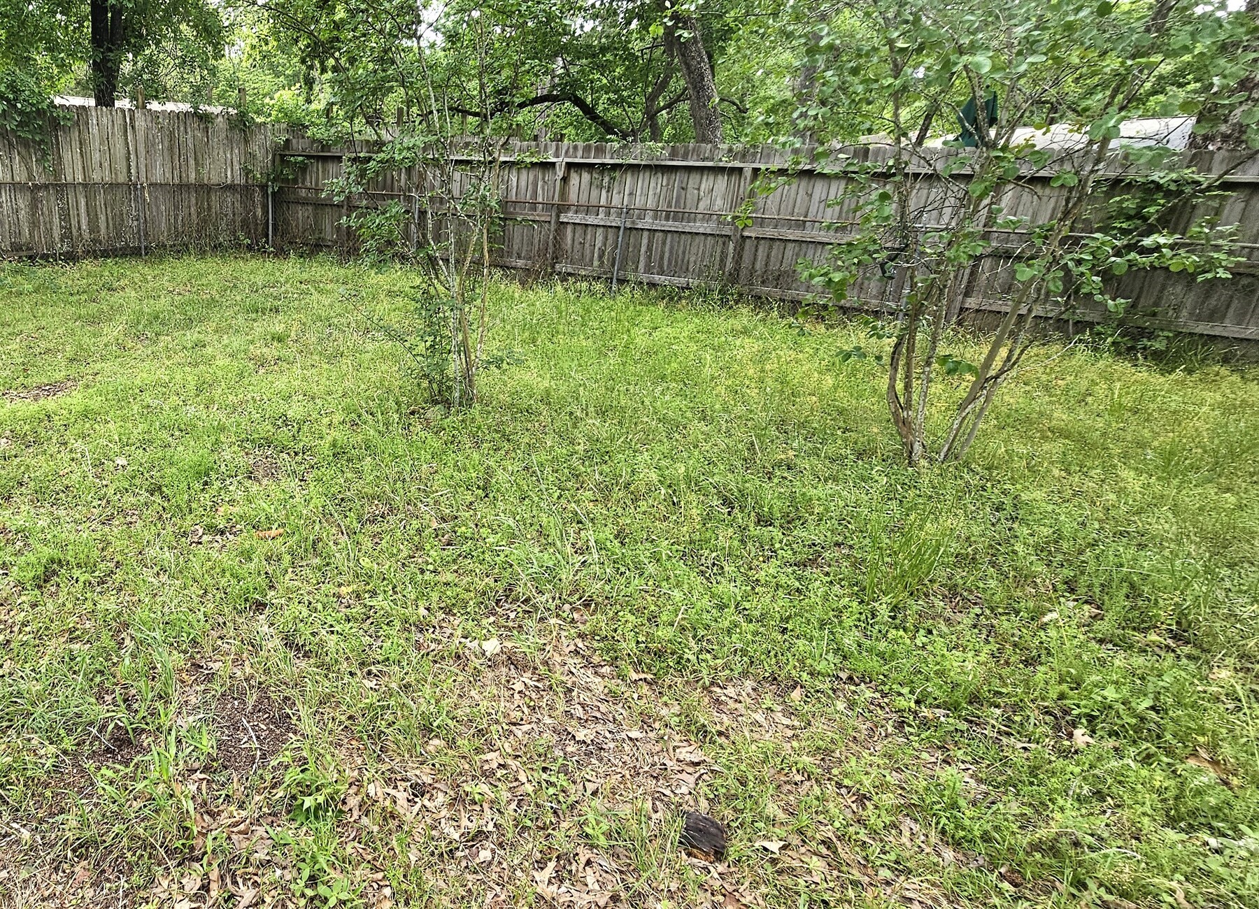 3303 Roaming Woods Lane Spring, TX 77380 - Photo 21 of 21 a view of a backyard with a fence