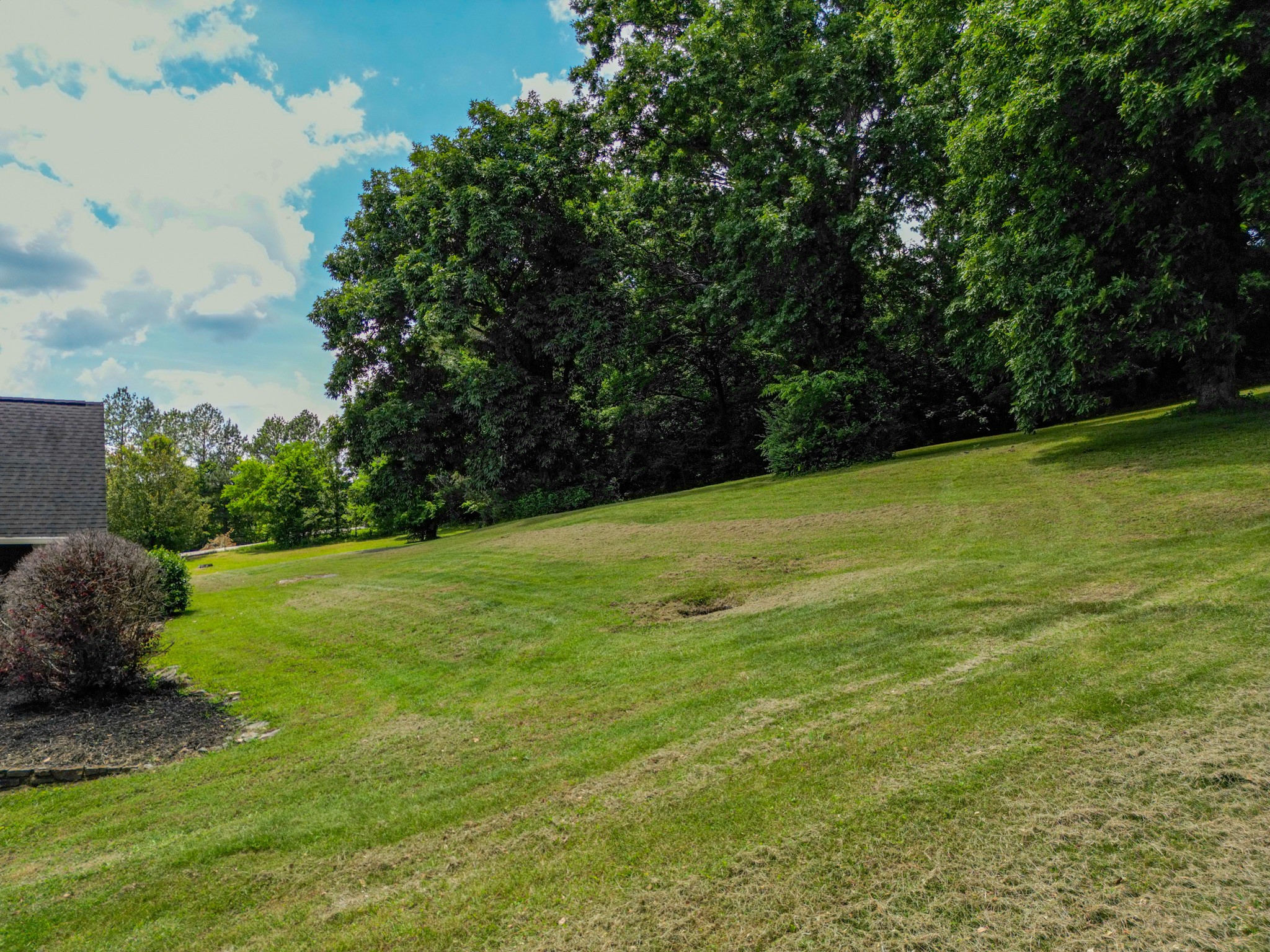 3676 Neeley Hollow Road Columbia, TN 38401 - Photo 54 of 62 Gallery Image 54