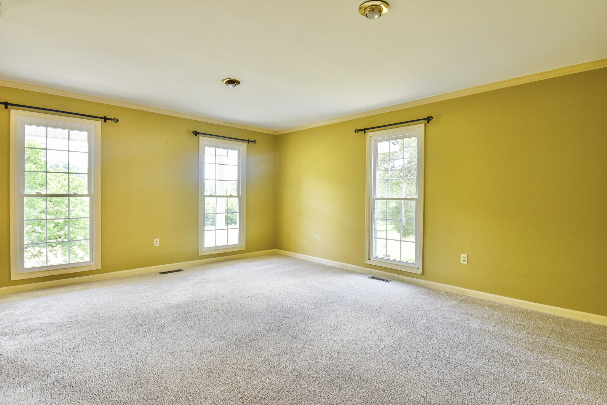 3676 Neeley Hollow Road Columbia, TN 38401 - Photo 6 of 62 Gallery Image 6