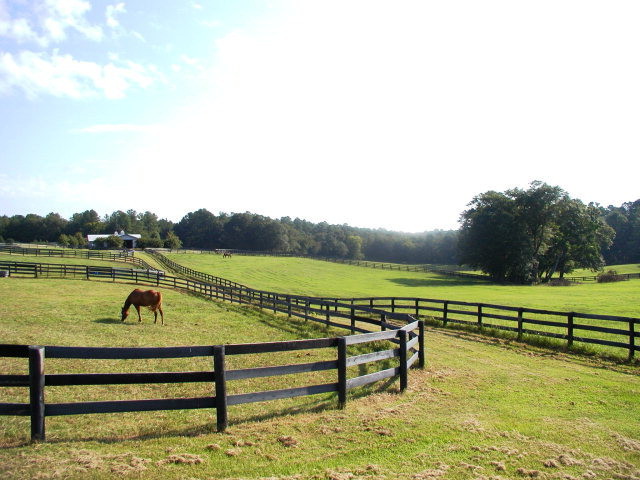 1030-34 Chime Bell Church Road Aiken, SC 29803 - Photo 1 of 1 Gallery Image 1