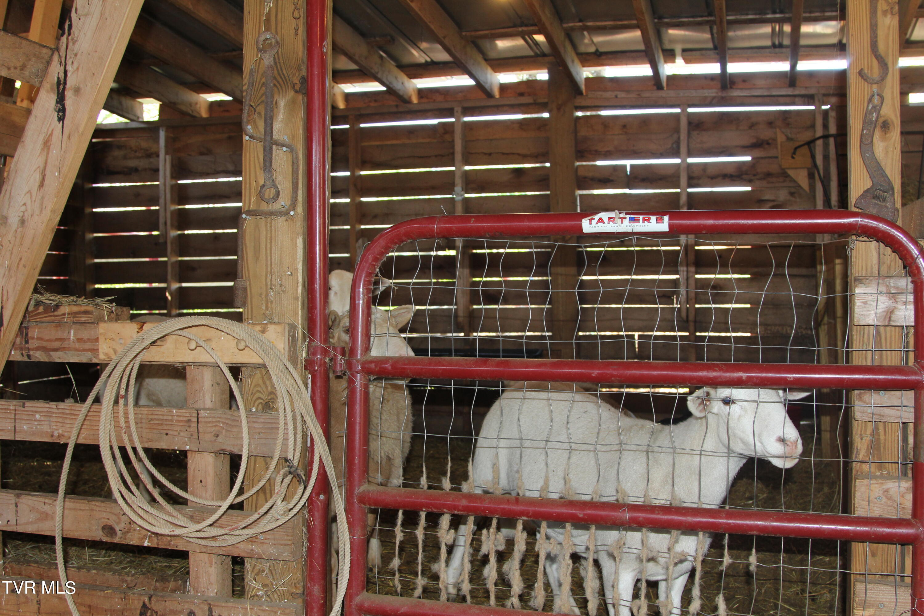 152 Ridgecrest Road Jonesborough, TN 37659 - Photo 41 of 49 83 Barn 4