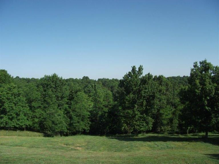 1765 Goldsvalley Road Dry Ridge, KY 41035 - Photo 11 of 30 Gallery Image 11