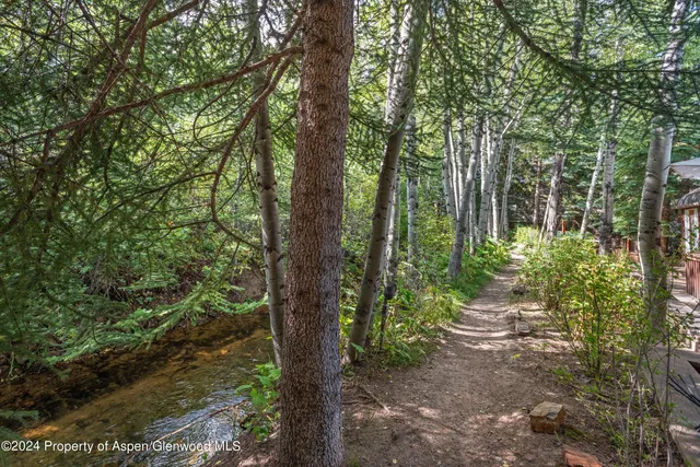 $40,000 | 66 Alpine Court, Aspen, CO 81611