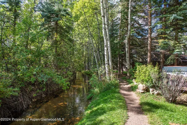 $40,000 | 66 Alpine Court, Aspen, CO 81611