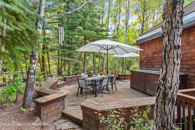 $40,000 | 66 Alpine Court, Aspen, CO 81611