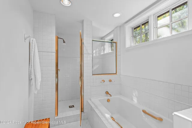 $40,000 | 66 Alpine Court, Aspen, CO 81611