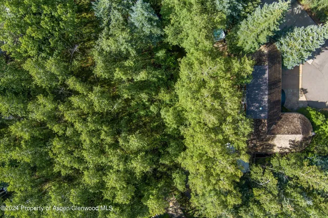 $40,000 | 66 Alpine Court, Aspen, CO 81611