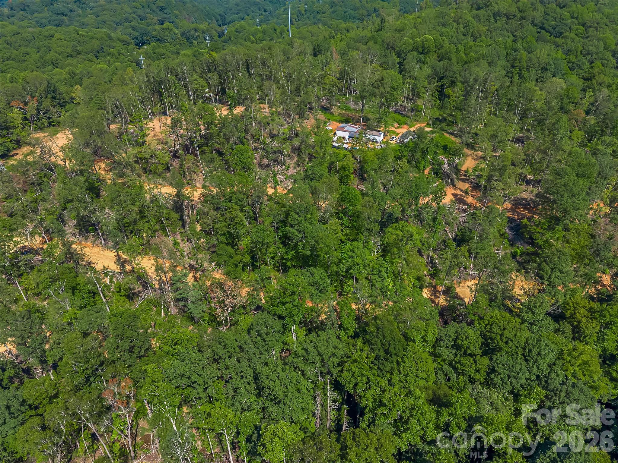 Tbd Early Road Saluda, NC 28773 - Photo 32 of 35 Gallery Image 32