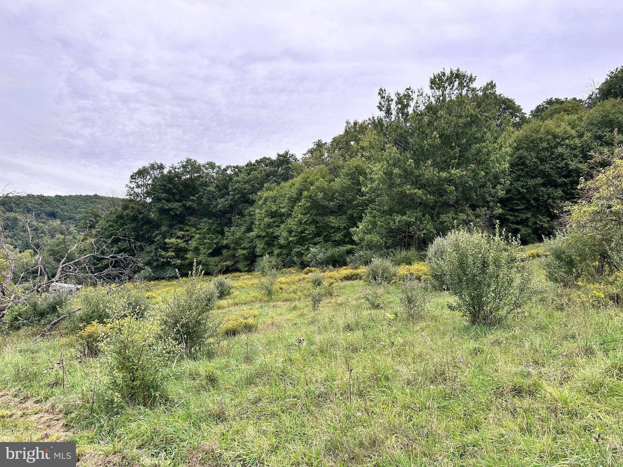 2052 Runville Road Bellefonte, PA 16823 - Photo 6 of 54 Gallery Image 6