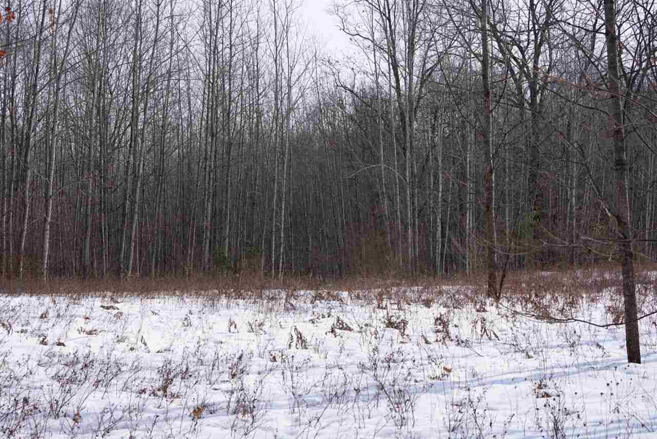 V/l West Washington Road Lake, MI 48632 - Photo 6 of 7
