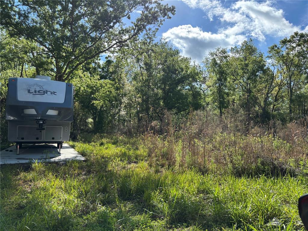11042 Bounty Street New Port Richey, FL 34654 - Photo 4 of 18