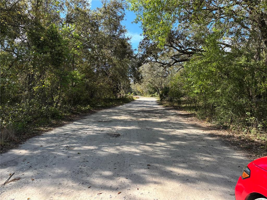 11042 Bounty Street New Port Richey, FL 34654 - Photo 7 of 18