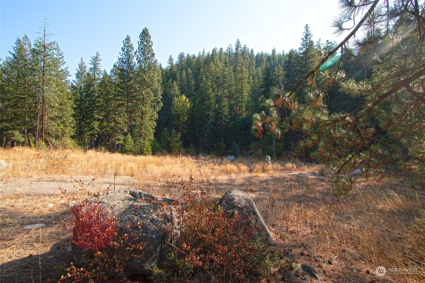 777 Twisp River Road Twisp, WA 98856 - Photo 24 of 35 Gallery Image 24