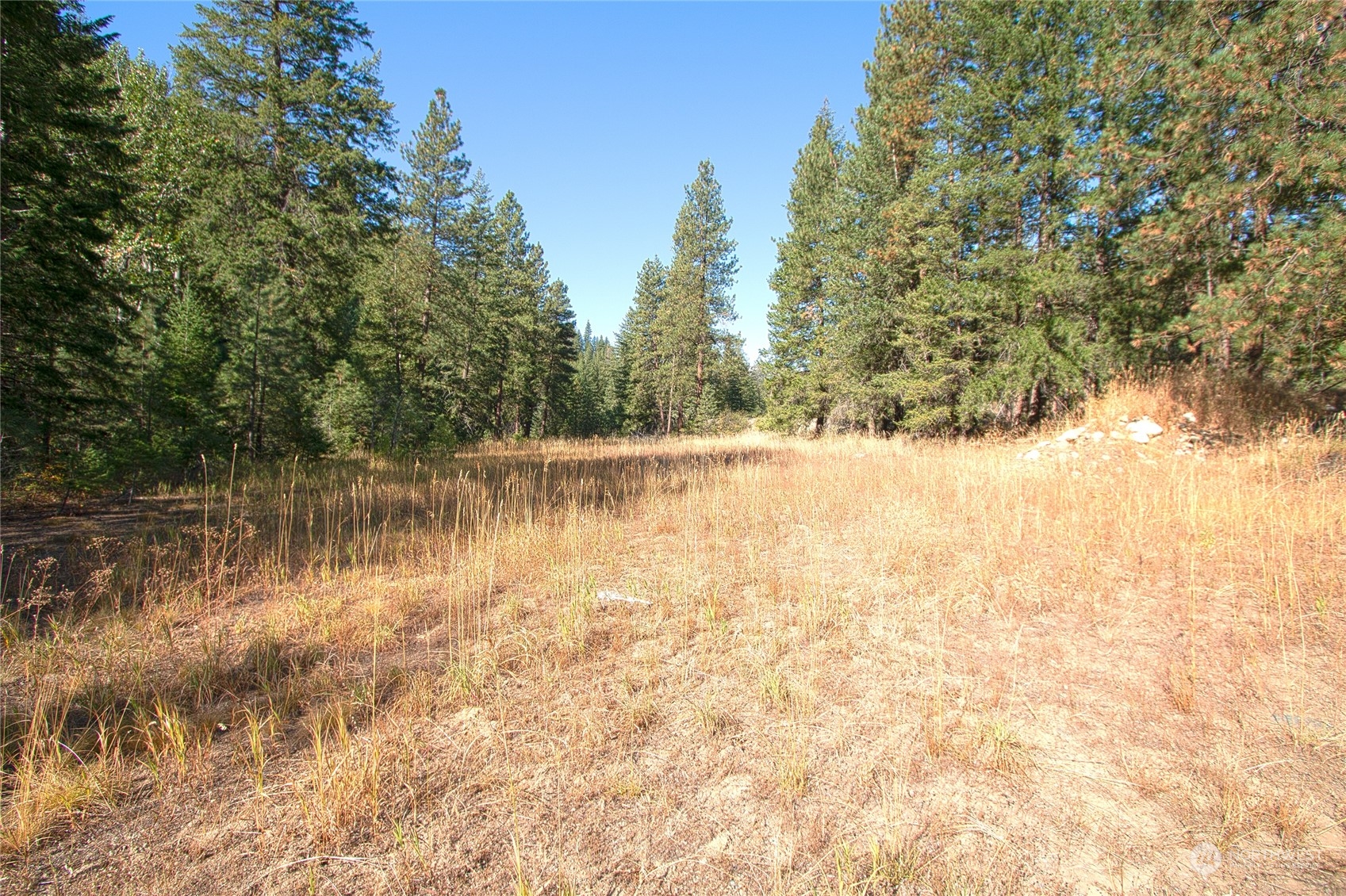777 Twisp River Road Twisp, WA 98856 - Photo 27 of 35 Gallery Image 27