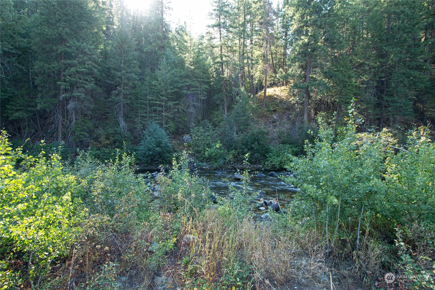 777 Twisp River Road Twisp, WA 98856 - Photo 5 of 35 Gallery Image 5