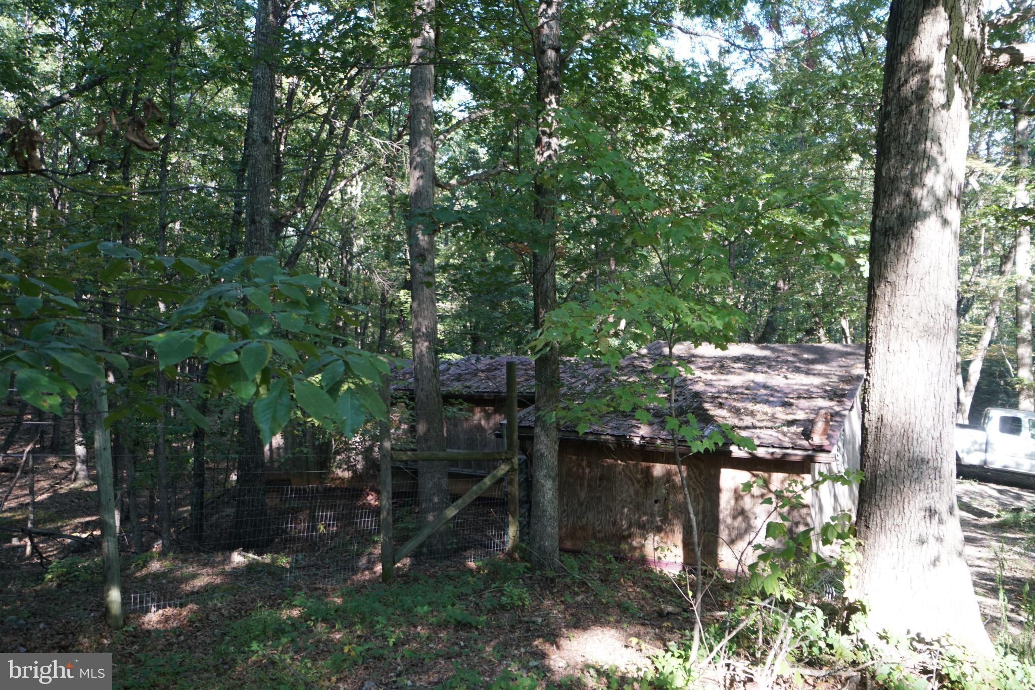 1537 Hidden Valley Road Franklin, WV 26807 - Photo 75 of 78 Secluded cabin nestled in lush greenery.