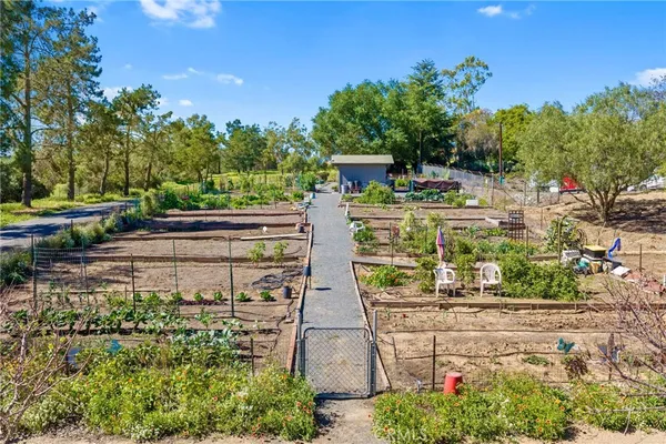 a view of backyard with green space