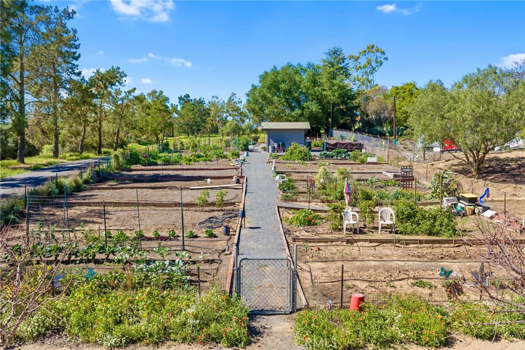 903 Crescent Bend Fallbrook, CA 92028 - Photo 34 of 50 Community Garden